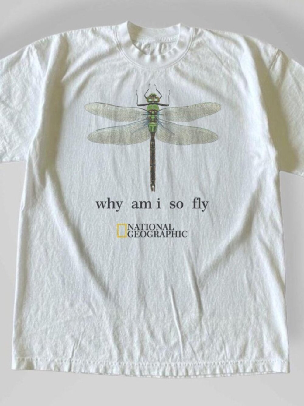 Vintage Style Dragonfly Heavy Cotton Tee Nature-Inspired Design Unisex tee